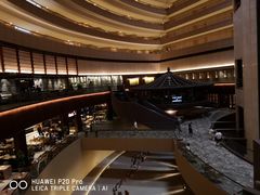 -新加坡文华东方酒店