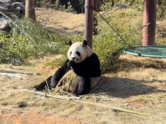 -杭州野生动物世界