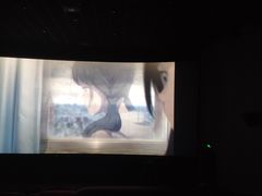 -武汉华夏国际影城(鲁广店)