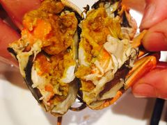盘锦河蟹-小时候2013(瀚新店)