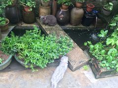 -老屋咖啡