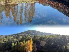 -广州市石门国家森林公园