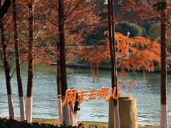-滨湖塘西河公园