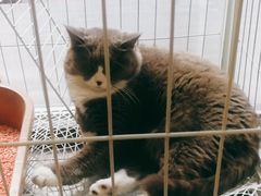 -乐果甜心·潮汕冰室(南澳后宅分店)