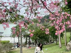 -风云岭森林公园