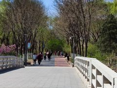 -大兴滨河森林公园