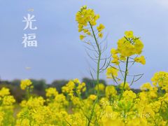 -光福景区