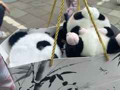 -中国大熊猫保护研究中心雅安碧峰峡基地