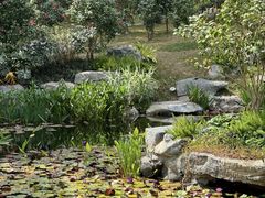 -深圳国际园林花卉博览园