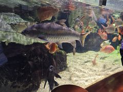 -太平洋海底世界