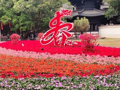 -荔湾湖公园