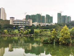 -张坝桂圆林公园