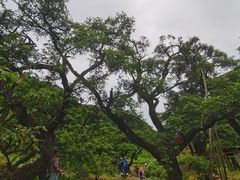 -诸暨耀江开元名都大酒店·西子灶中餐厅