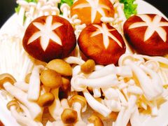 -九府羊·鲜羊火锅·烤串(新华路店)