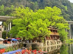 -万达广场(合肥天鹅湖店)