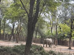 -北京野生动物园
