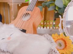 -鹿屿DIY烘焙·公司团建·生日会包场(广州东站店)