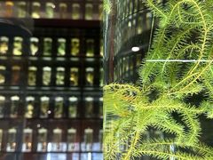 -广东中医药博物馆