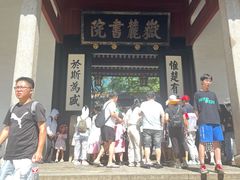 -万泊酒店(长沙五一广场国金中心店)