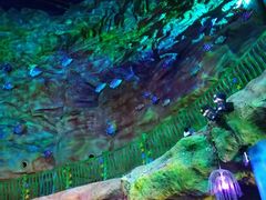 -青岛嘉年华主题乐园