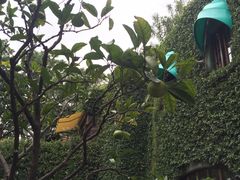 -三鹰之森吉卜力美术馆