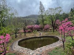 -泰山风景名胜区