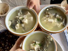 昂刺鱼豆腐汤-洞天食府(北大街店)