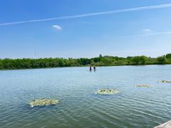 -溱湖国家湿地公园