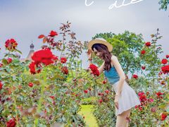 -恒大世纪梦幻城