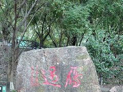 -大雁山风景区