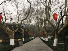 -杭州黄龙洞