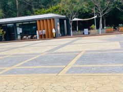 -仙岳公园