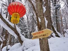 -雪谷