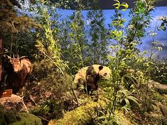 -陕西自然博物馆