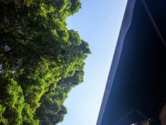 -黄埔古港