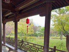 -江心屿景区