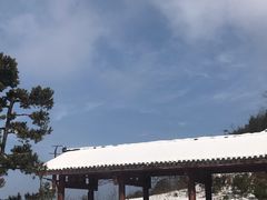 -武陵山森林公园