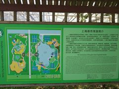 -上海都市菜园