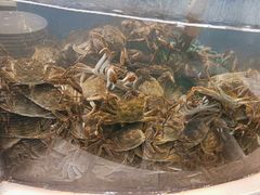 -海天盛宴新派海鲜自助餐厅(群力店)