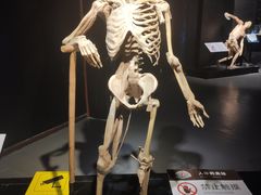 -生命奥秘博物馆