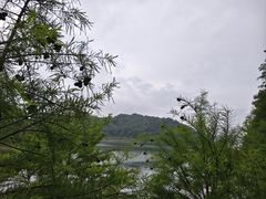 -天目湖山水园