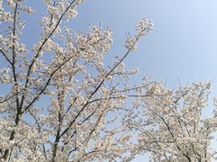 -堤角公园