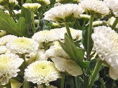 -EPOQUE·一刻花店(兴业太古汇店)