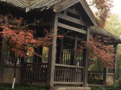 -白马涧龙池景区