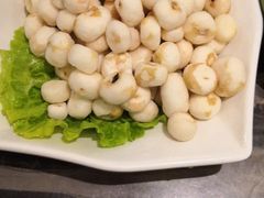 -百年果林椰子鸡(中洲店)