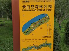 -长白岛森林公园