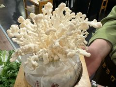 -烹然四季椰子鸡火锅(团结湖总店)