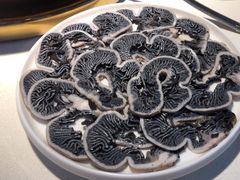 -二荆条·城市森林火锅旗舰店