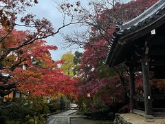 -常寂光寺