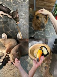 -Zoolung Zoolung动物主题公园(海信广场店)